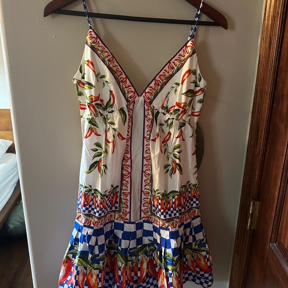 Off-White Picnic Peppers Ainika Organic Cotton Mini Dress - Picture 3 of 3